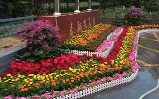 节日花坛7
