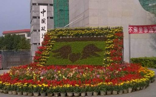 节日花坛8