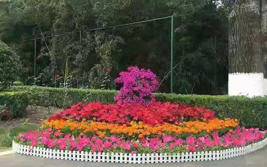 节日花坛
