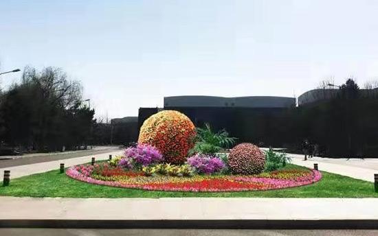 节日花坛