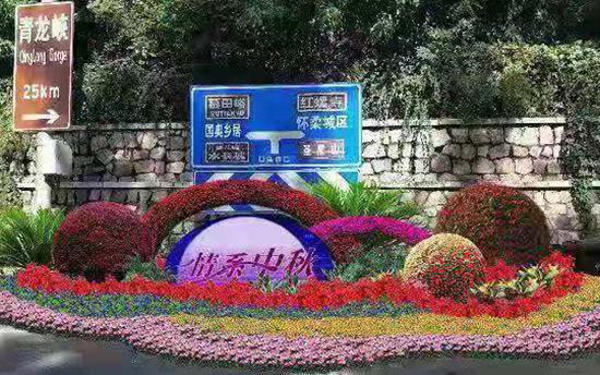 节日花坛