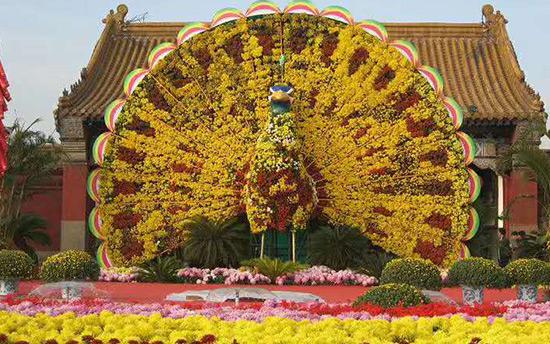 节日花坛